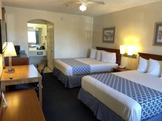 The Flamingo - South Padre Island - South Padre Island - 6