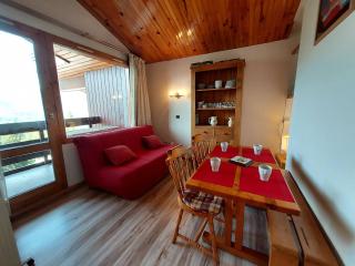 Studio divisible pour 4 personnes, centre station, animaux admis - FR-1-353-103 - La Plagne Tarentaise - 0