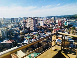 Depto con la mejor vista a la ciudad de Concepción - 0