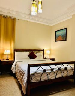 شقه فندقيه مطلعه ع النيل - Il Cairo - 4