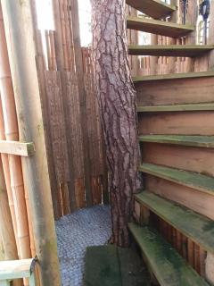 Cabane dans les arbres - Beaumontel - 8