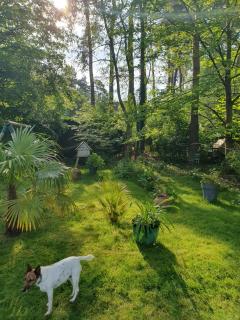 Cabane dans les arbres - Beaumontel - 6