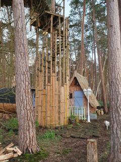 Cabane dans les arbres - Beaumontel - 4