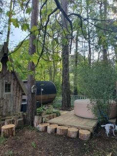 Cabane dans les arbres - Beaumontel - 2