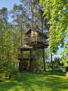 Cabane dans les arbres - Beaumontel - 1