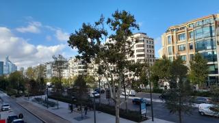 La Pépite - Neuilly-sur-Seine - 9