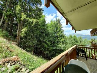 Appartement cosy 3 pièces, avec balcon et piscine, proche des pistes et commodités à La Plagne Tarentaise - FR-1-353-118 - 3