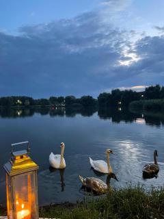 Therme - Corbeanca by The Lake Luxury Villa - 5