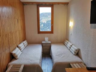 Appart cosy avec accès pistes et commerces, balcon, parking, animaux ok! - FR-1-355-24 - Les Allues - 6