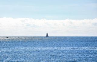 Pet Friendly Apartment - Rosolina Mare - 5