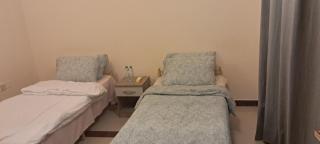 Top House Zayed Airport AUH - Abu Dhabi - 4