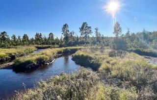 Awesome Home In Rauland - 6