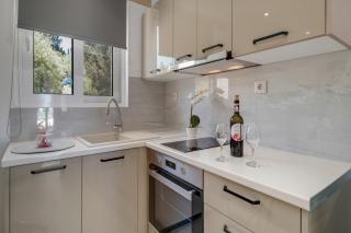 Gkountis Deluxe Studio - 3