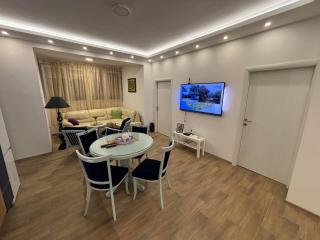 Vanja Apartman - Vršac - 9