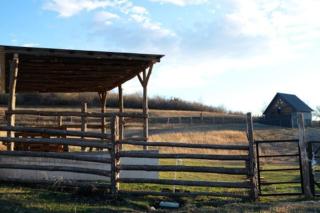 The Black Hills - Cottage in Dusheti - Dushetʼi - 6