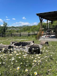 The Black Hills - Cottage in Dusheti - Dushetʼi - 4