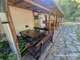 Pensiunea CASA MAXIMUS - 6