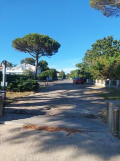 Sable jaune - Andernos-les-Bains - 8