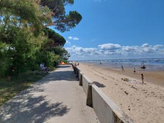 Sable jaune - Andernos-les-Bains - 3
