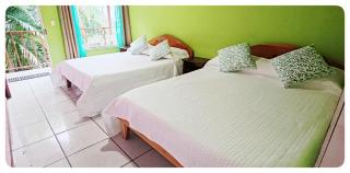 Hotel & Hostel Sloth Backpackers - Monteverde Costa Rica - 5