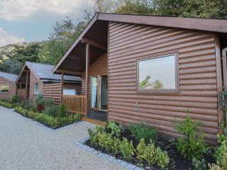 Luxury Lodge 53 - Rhyl - 9