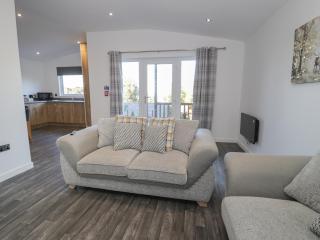 Luxury Lodge 53 - Rhyl - 5