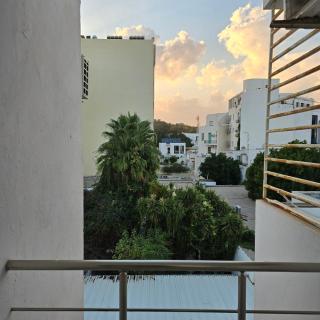 Pépite au cœur du Belvédère Tunis - 6