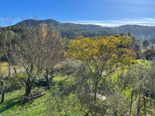 Gites du Mas Bouscas - Saint-Florent-sur-Auzonnet - 8