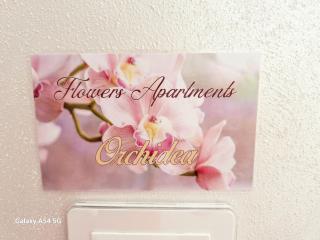 Flowers Apartment - Tropea - 9