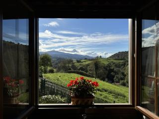 Casa El Calerín Cangas de Onís - Cangas de Onís - 1
