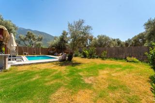 lion villa - Fethiye - 5