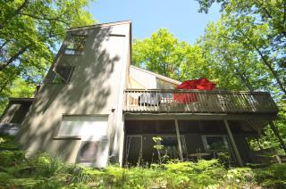 Skippers Woods - Glen Arbor - 4