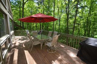 Skippers Woods - Glen Arbor - 3