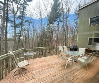 Skippers Woods - Glen Arbor - 1