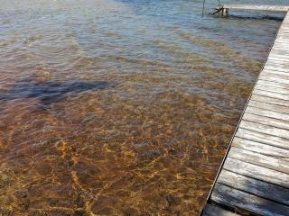 Yellow Cottage - Trick's Resort - 5