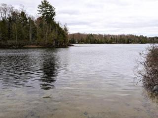 Bass Lake Life - Traverse City - 3