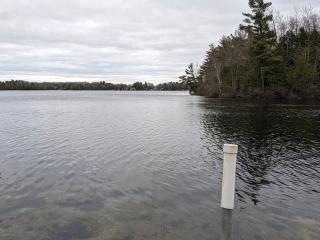 Bass Lake Life - Traverse City - 2
