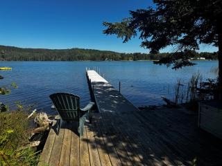 Loons Landing - Bellaire - 5