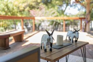 BottleRock Farm-80 acre Resort Alpacas Lake and Hot Tub - Kelseyville - 5