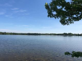 The Dragonfly - Elk Rapids - 6