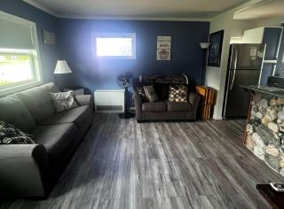 The Dragonfly - Elk Rapids - 1