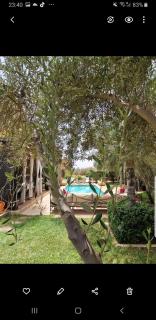 Villa Bohème Havre de paix, piscine chauffée,4 Suites - Marrakech - 5