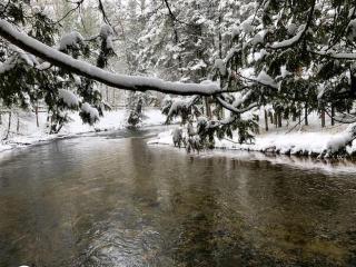 Cozy River Cottage - 3