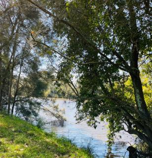 Peppercorns Riverside Farm Stay - 2