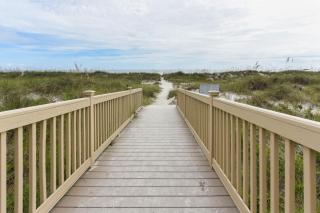 Bird of Paradise - Hilton Head Island - 2