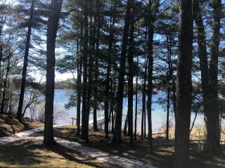 Wild Refuge Lodge - Interlochen - 6