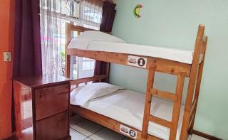 Hotel & Hostel Sloth Backpackers - Monteverde Costa Rica - 4