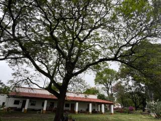 Estancia El Molino Zárate Sur - Trancas - 1