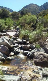 Grand Cabaña Villa Elena - 4