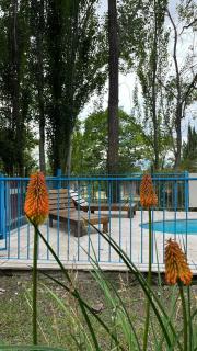 El Pinar Potrerillos - 3